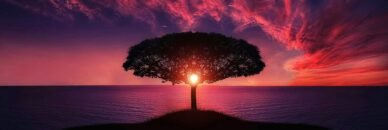 A beautiful silhouette of a tree against a vibrant sunset over the ocean, evoking tranquility.